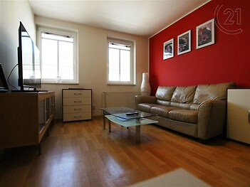 obývací pokoj s přirozené světlo, radiátor, televize, a dřevěná podlaha