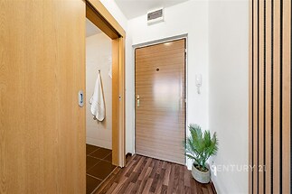 Vstupní hala s dřevěnými dveřmi, parketovou podlahou a dekorativní rostlinou, světlý a moderní interiér