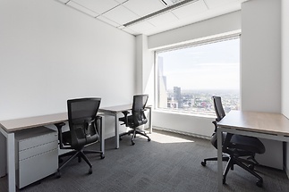 Generic Large Office_04