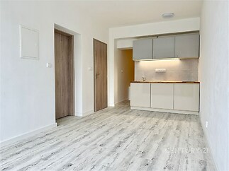Světlá moderní kuchyň s dřevěnými podlahami a vestavěnou skříní nabízí funkční prostor v rekonstruovaném bytě.