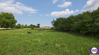 p02.jpg
