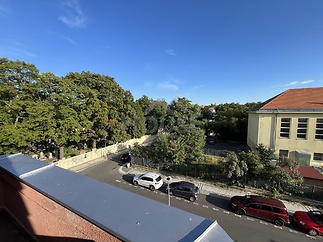 IMG_5389