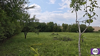 mvimg-20250716-115333.jpg