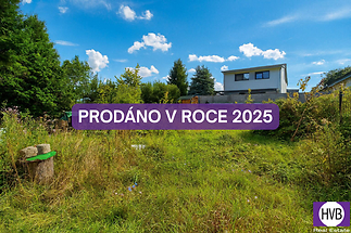 prodano-2025-20.png