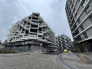 IMG_3261
