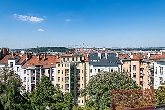 850_2875.jpg