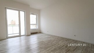 Světlý obývací pokoj s parketovou podlahou, velká okna zajišťují dostatek přirozeného světla, moderní interiér, rekonstruovaný prostor