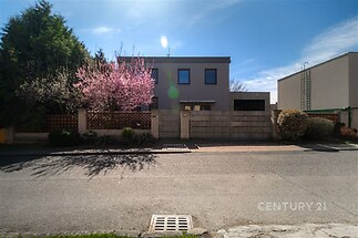 Moderní rodinný dům s plochou střechou, obklopený zahradou s kvetoucím stromem, oplocení poskytuje soukromí, klidná rezidenční lokalita.