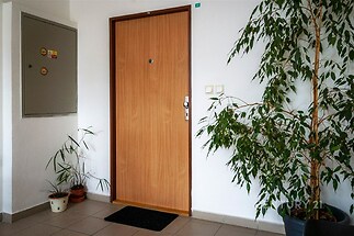 Vstupní prostor s dřevěnými dveřmi, dlažbou na podlaze a pokojovými rostlinami, moderní a světlý interiér bytového domu.