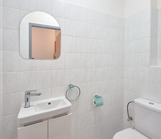 bathroomc-toilet.jpg