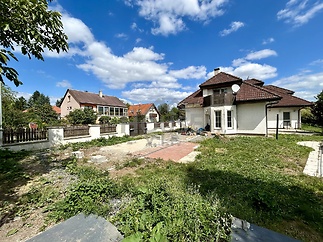 IMG_1537