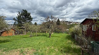 Prostorná zahrada s upraveným trávníkem, obklopená ovocnými stromy a dřevěným plotem, ideální pro rodinný dům nebo rekreační objekt.