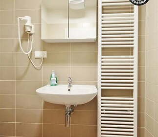 vana s radiátor, backsplash, stěna dlaždic, a zrcadlo