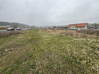 IMG_4673