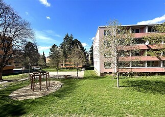 Zahradní prostor před bytovým domem s udržovaným trávníkem, vzrostlými stromy a rekreační zónou, klidné prostředí v rezidenční čtvrti.