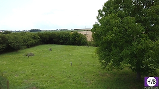 p01.jpg