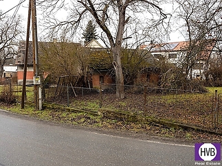 p2070111-1.jpg