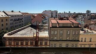 IMG_0867.jpg