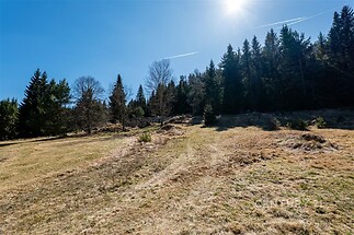 Lesní pozemek s rozlehlou travnatou plochou, obklopený vzrostlými stromy, ideální pro rekreační účely či investici do přírody.