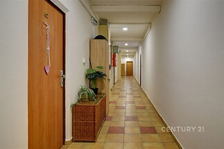 Chodba s dlažbou, světlé stěny a vestavěné skříně, moderní osvětlení a dekorativní rostliny vytvářející příjemnou atmosféru.