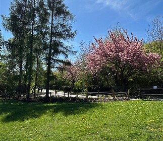 přilehlý park