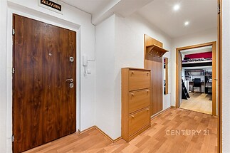 Vstupní hala s dřevěným obložením dveří, parketovou podlahou a vestavěnou skříní. Moderní design, světlá a čistá úprava.