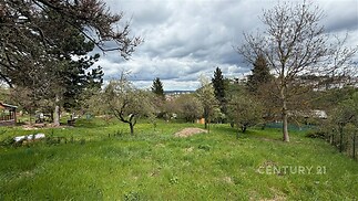 Zahrada s výhledem na město, obklopená vzrostlými stromy a zeleným trávníkem, ideální pro relaxaci nebo zahradničení.