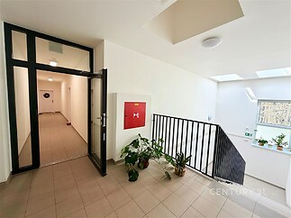 Chodba s dlažbou a moderním designem, velkými okny a přirozeným osvětlením. Čisté linie a prostor pro rostliny zajišťují příjemné prostředí.