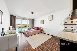 Světlý obývací pokoj s moderní kuchyní, parketová podlaha, velká okna, výhled na terasu, útulné zařízení, elegantní styl, zrekonstruovaný prostor