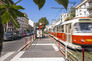 Bytová jednotka č. 14