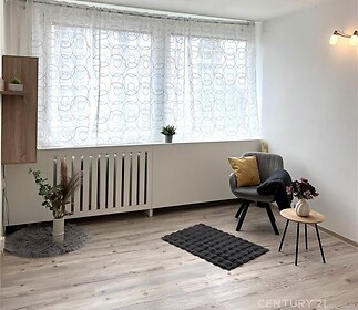 Světlý obývací pokoj s parketovou podlahou, velká okna s moderními závěsy, minimalistický styl, dekorativní rostliny, rekonstrukce.