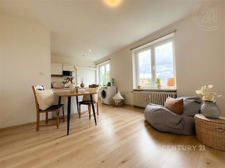 obývák-jídelna s pračka / sušička, dřevěná podlaha, přirozené světlo, a radiátor