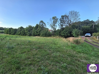 20250804-191420.jpg