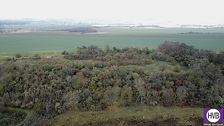 dji-0209.jpg