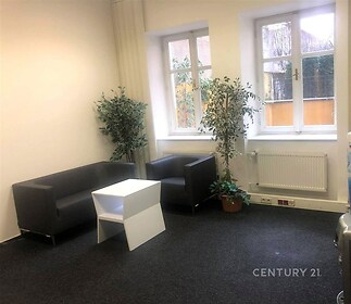 Světlý obývací pokoj s velkými okny a tmavým kobercem, moderní nábytek zahrnuje černou sedačku a křeslo, bílé stěny vytvářejí elegantní atmosféru.
