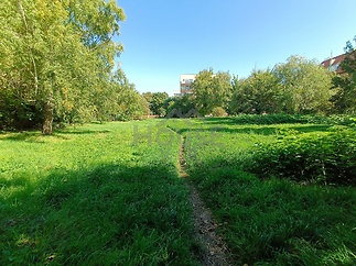 IMG_20250918_135224