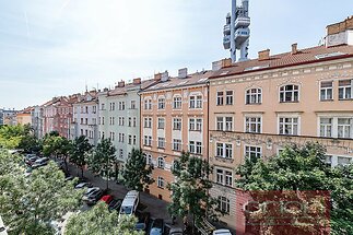 850_5054.jpg