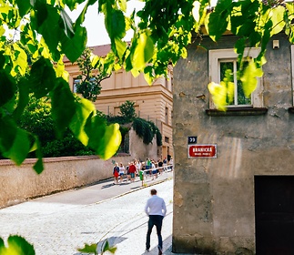 zit-branik-250604-zit-branik-vyber-hq-0012-4a4a2f