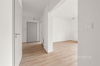 Světlá vstupní hala s moderní parketovou podlahou a bílými stěnami, ideální pro přeměnu na útulný prostor, s moderním interiérem a otevřeným designem.