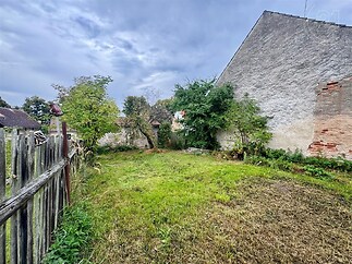 zahrada