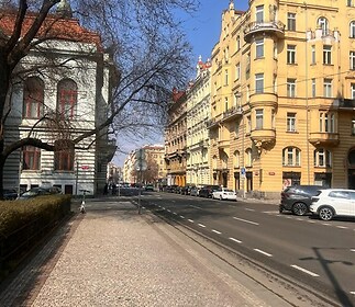 Pohled na dům