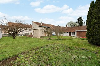 Prostorná zahrada s udržovaným trávníkem a vzrostlými stromy, ideální pro rodinný život, s rekonstruovaným rodinným domem v pozadí.