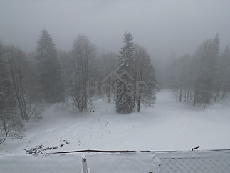 dji_fly_20260204_142902_566_1770296689301_photo