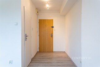 Vstupní hala s dřevěnými dveřmi, moderní světlý interiér, laminátová podlaha.