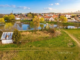 Jezero s okolní přírodou a vilovou čtvrtí, větve vrb a klidná lokalita.