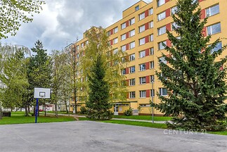 Venkovní prostor s basketbalovým hřištěm u panelového domu, obklopený zelení a stromosázením, vhodný pro relaxaci a sportovní aktivity.