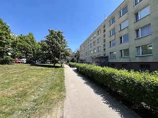IMG_3705