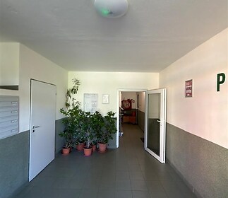 Vstupní hala s dlažbou, světlá výmalba, moderní osvětlení a okrasné rostliny, poskytuje příjemný a udržovaný vstup do budovy