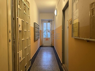 1350fa96-54c5-48ea-9831-a2ffa699351e