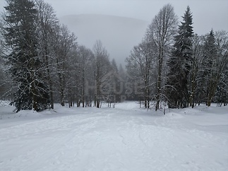 dji_fly_20260204_143302_584_1770296671529_photo